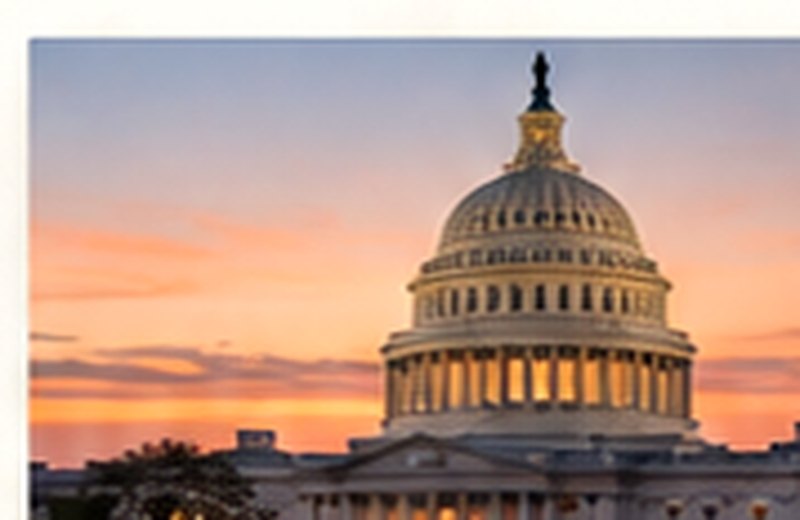 Illustrative image for Democratic accountability and executive authority
